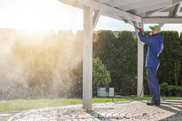 Best Sign and Awning Cleaning  in Holly Springs, NC